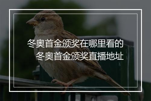 冬奥首金颁奖在哪里看的　冬奥首金颁奖直播地址